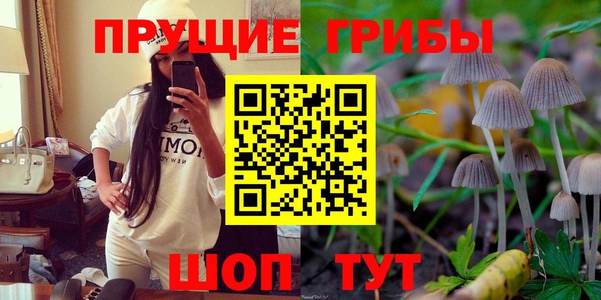Саранск  Галлюциногенные грибы Magic Shrooms  Вход с VPN 